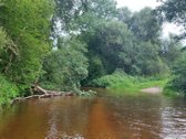 Vilniaus aps., Musninkų mst., Širvintų r. - nuotraukos Nr. 41