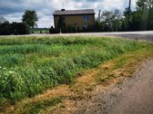 30 Arų Sklypas Investicijai Klaipėdos Apskrityje - nuotraukos Nr. 5