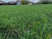 Parduodamas 11,66 aro sklypas Margirio g. 24d - nuotraukos Nr. 10