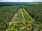 Stulbinančio privatumo ir ramybės apsuptyje - nuotraukos Nr. 4