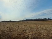 Parduodamas žemės ūkio paskirties sklypas - nuotraukos Nr. 5