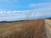 Parduodamas žemės ūkio paskirties sklypas - nuotraukos Nr. 3