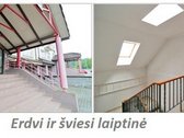 Santariškių pradžioje parduodamas apynaujės - nuotraukos Nr. 21