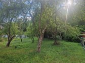 Parduodamas tvarkingas ir kokybiškai - nuotraukos Nr. 4