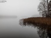 Parduodamas išvystytas ir gerai žinomas - nuotraukos Nr. 25
