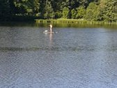 Parduodama išskirtinė 16 ha sodyba, kuriai - nuotraukos Nr. 18