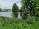 Parduodama išskirtinė 16 ha sodyba, kuriai - nuotraukos Nr. 22
