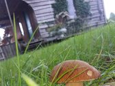 Parduodama išskirtinė 16 ha sodyba, kuriai - nuotraukos Nr. 27