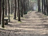 Parduodamas modernus, kokybiškai įrengtas - nuotraukos Nr. 17