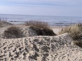 Parduodamas modernus, kokybiškai įrengtas - nuotraukos Nr. 18