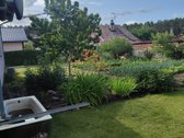 Parduodamas 6-ių arų sodo sklypas su nebaigtu - nuotraukos Nr. 6