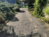 Molėtų r. sav., Toliejų k. - nuotraukos Nr. 5