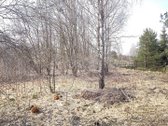 Parduodamas sklypas Žalčių g.1,29ha - nuotraukos Nr. 7
