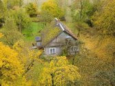 Parduodama Sodyba Su Žemės Sklypu Kauno - nuotraukos Nr. 7