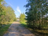 Šalia Sanžilės upės parduodamas sklypas - nuotraukos Nr. 3