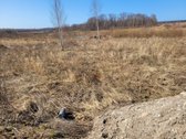 Tarp Klaipėdos ir Palangos miestų, Girkalių - nuotraukos Nr. 5