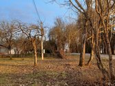 Raseinių rajone, Žibulių kaime, Dvaro gatvėje - nuotraukos Nr. 6