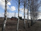 Širvintų Rajone, Šešuolėlių II Kaime - nuotraukos Nr. 4