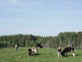 Šiaulių r. parduodamos modernios fermos su