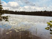 Parduodamas žemės ūkio paskirties sklypas - nuotraukos Nr. 10
