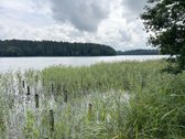 Parduodamas žemės ūkio paskirties sklypas - nuotraukos Nr. 11