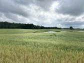 Parduodamas žemės ūkio paskirties sklypas - nuotraukos Nr. 5