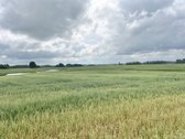 Parduodamas žemės ūkio paskirties sklypas - nuotraukos Nr. 7