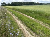 Parduodamas žemės ūkio paskirties sklypas - nuotraukos Nr. 9