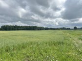 Parduodamas žemės ūkio paskirties sklypas - nuotraukos Nr. 4