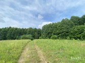 Parduodama Sena Sodyba Su 3,54 Ha Žemės Ir - nuotraukos Nr. 7