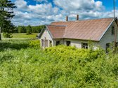 Erdvus Žemės Sklypas Su Statiniais Jūsų - nuotraukos Nr. 13