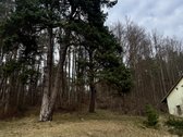Vilniuje, Belmonto g. parduodama 2.7 aro - nuotraukos Nr. 4