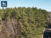 Parduodamas 6,04 a sklypas miškingoje - nuotraukos Nr. 7