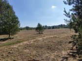 Didelis sklypas gamtos apsuptyje. Nuotraukos - nuotraukos Nr. 2