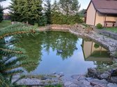 Parduodamas erdvus ir tvarkingas gyvenamasis - nuotraukos Nr. 7