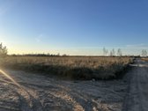 Parduodami Namų Valdos Sklypai Naujame - nuotraukos Nr. 2
