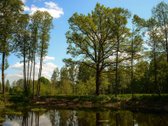 Investicinė galimybė Dzūkijoje – 6,3 ha - nuotraukos Nr. 8