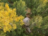 Investicinė galimybė Dzūkijoje – 6,3 ha - nuotraukos Nr. 3