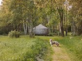 Investicinė galimybė Dzūkijoje – 6,3 ha - nuotraukos Nr. 2