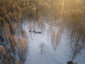 Investicinė galimybė Dzūkijoje – 6,3 ha - nuotraukos Nr. 25