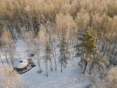 Investicinė galimybė Dzūkijoje – 6,3 ha - nuotraukos Nr. 6