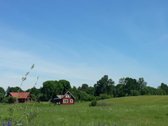 Laba ,parduodamas sklypas tarp Pikeliskiu ir - nuotraukos Nr. 13