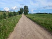 Laba ,parduodamas sklypas tarp Pikeliskiu ir - nuotraukos Nr. 15