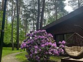Privati rezidencija 37 arų sklype, - nuotraukos Nr. 37