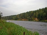 Parduodamas Sklypas Balsių Gyvenvietės Centre! - nuotraukos Nr. 3