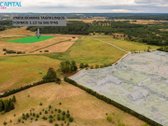 Parduodamas 1,12 Ha Žemės Ūkio Paskirties - nuotraukos Nr. 3