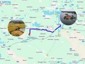 Parduodamas 1,12 Ha Žemės Ūkio Paskirties - nuotraukos Nr. 8