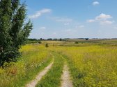 Parduodamas sklypas Šiaulių rajone, Ginkūnų