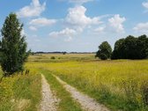 Parduodamas sklypas Šiaulių rajone, Ginkūnų - nuotraukos Nr. 4