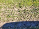 Šeštokų miestelio pakraštyje Šeštokų k. - nuotraukos Nr. 5